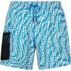 Fendi FF Vertigo print swim shorts